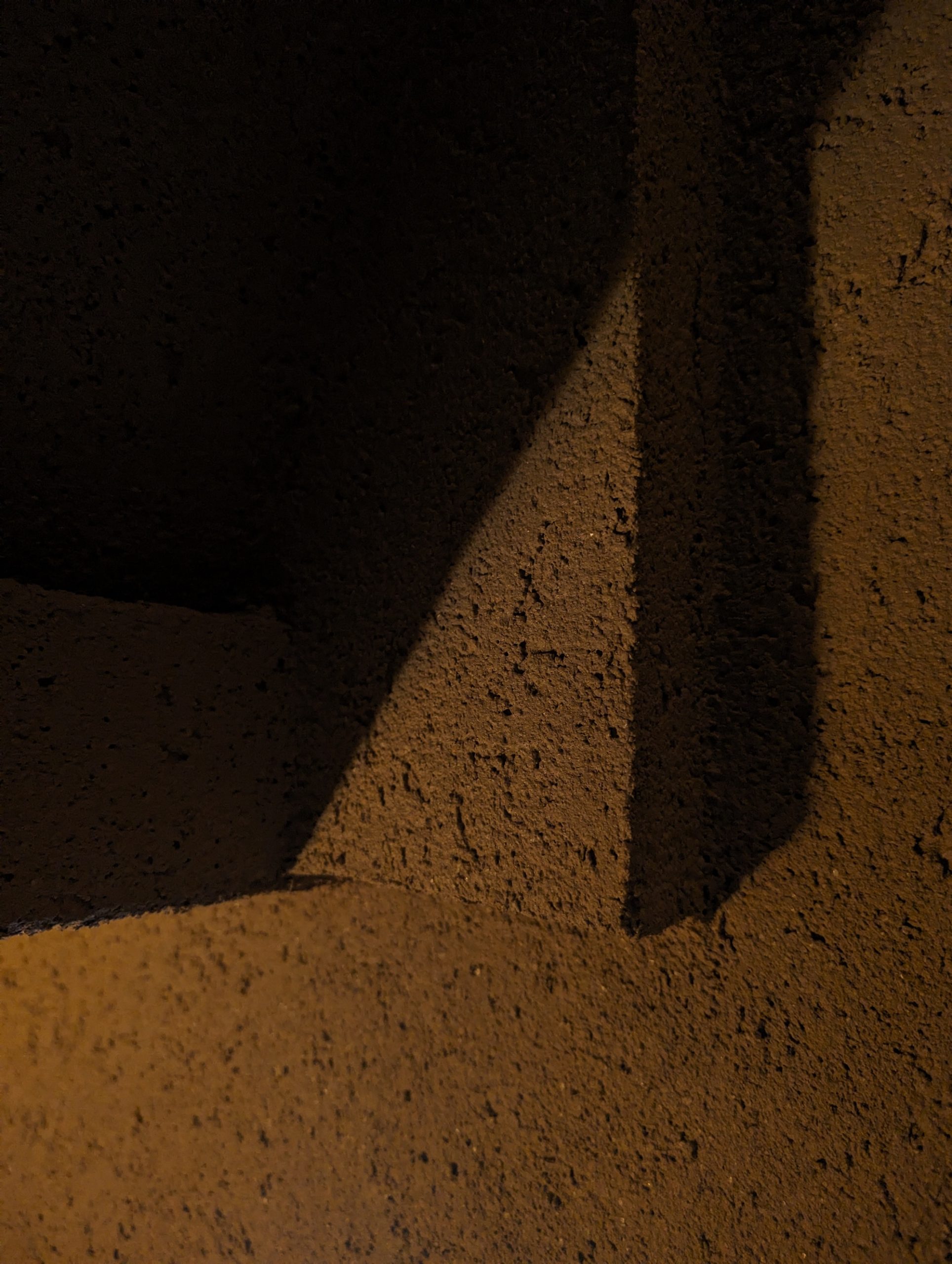PH_nogi_010416141